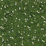 Rasen Blumen , bedruckter Teppichboden mit B1 C-fls1