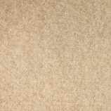 Messeboden Eventteppich Messeteppich B1 Salsa Farbe:1310 beige