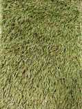 Rasen 25